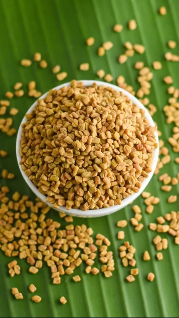 Fresh Fenugreek (Methi) Seeds